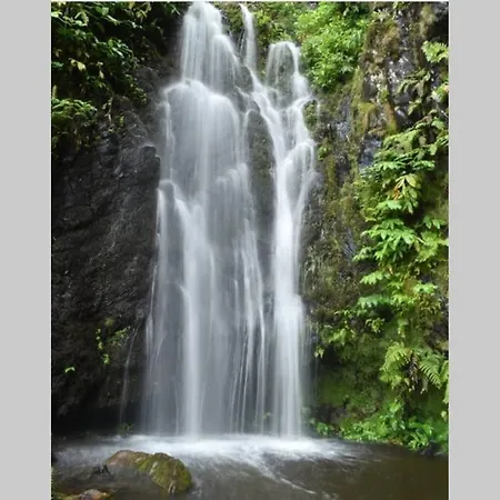 Monchique Islet View House T2